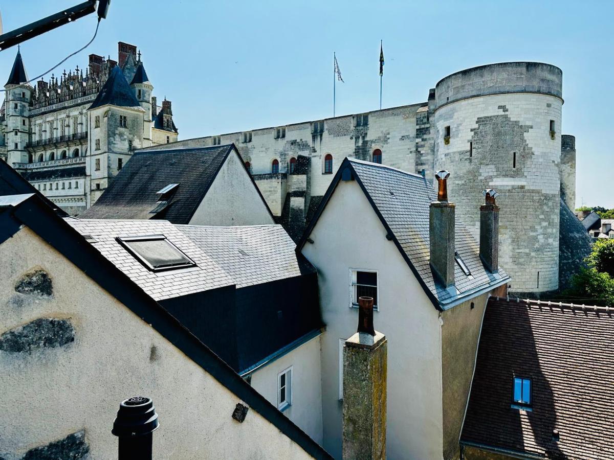 La Maison De L'Elephant Perche Amboise Esterno foto