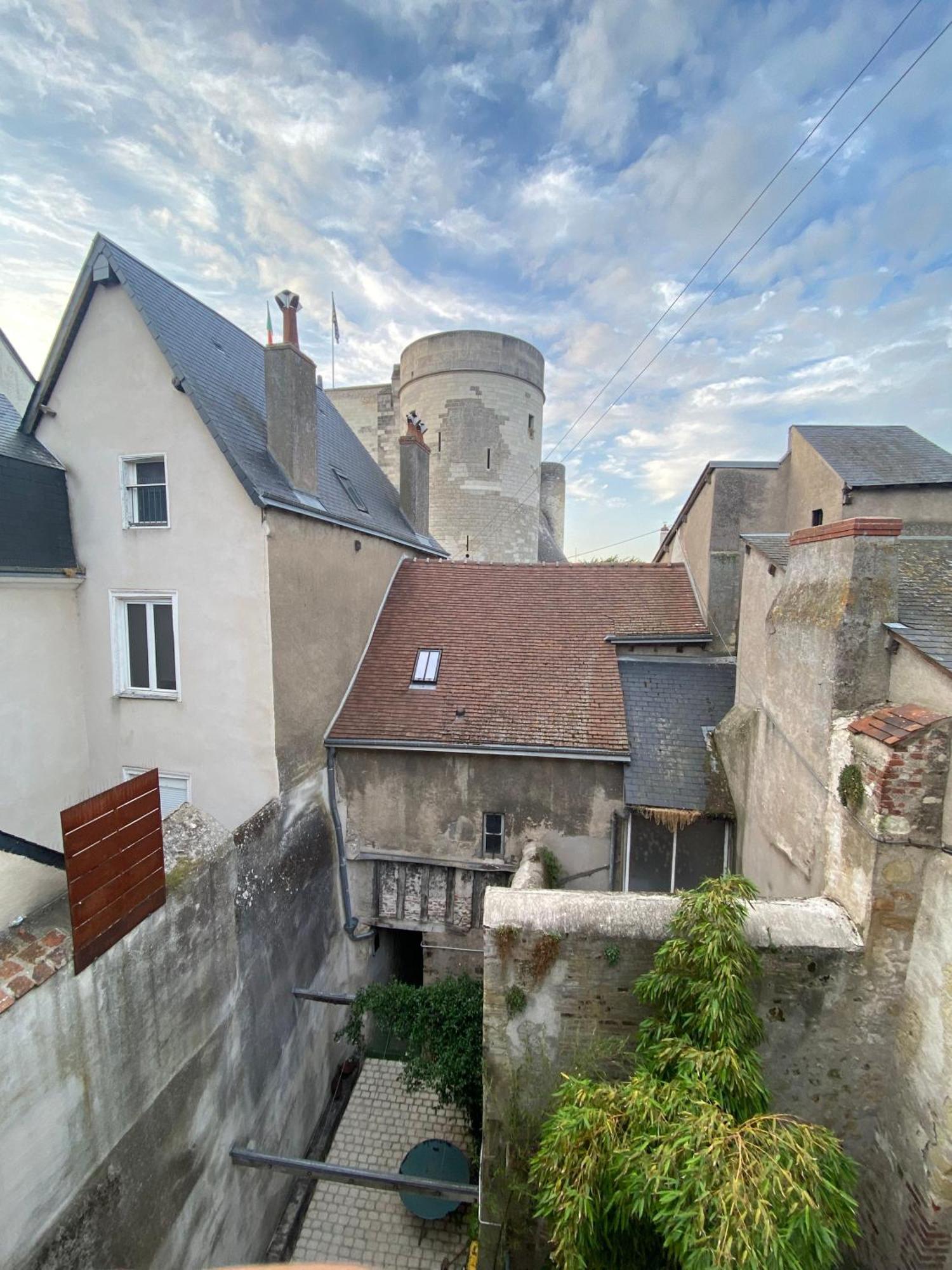 La Maison De L'Elephant Perche Amboise Esterno foto